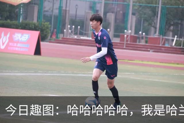 今日趣图：哈哈哈哈哈，我是哈兰德，进世界杯8强啦！