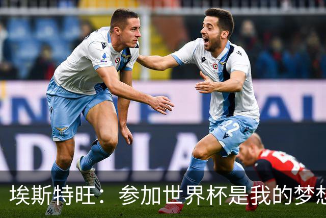 埃斯特旺：参加世界杯是我的梦想，因伤无缘后我痛哭流涕