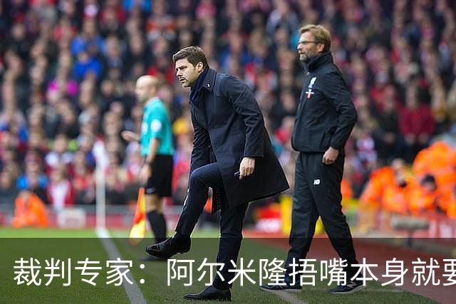 裁判专家：阿尔米隆捂嘴本身就要吃红牌，处罚力度取决于说了什么